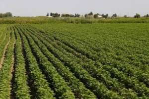 Қырғызстан Қазақстанға 534 млн текше метрден астам су жіберді