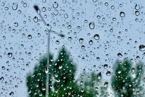 Алдағы күндерде найзағай ойнап, жаңбыр жауады