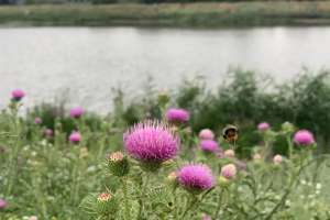 Алдағы күндері елімізде ауа температурасы төмендейді