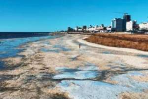 Каспий теңізінің жағалауында орналасқан 50 га жер мемлекетке қайтарылды