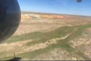 10 жылда 230 тоннадан астам каннабис тобының есірткілері жойылды