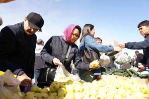 Астанада Солтүстік Қазақстан және Павлодар облыстарының жәрмеңкесі өтеді