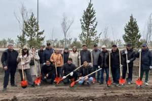 Зиялы қауым өкілдері елорданың «Есіл» ауданында 100 түп ағаш көшетін отырғызды