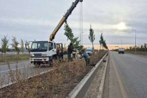 Астана айналма жолының бойында көгалдандыру жұмыстары жүргізіліп жатыр