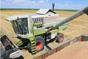 Еліміз жаңа өнімнен 1,6 млн тонна астық экспорттады