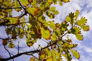 Ертең Қазақстанның бірнеше өңірінде қар жауады