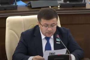 2022 жылы грант алғандардың 50 пайыздан астамы кәсіпкерлікті тоқтатқан – Мәжіліс депутаты