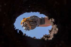 Қарағандыда екі жұмысшы кәріз құбырын ауыстыру кезінде қаза болды