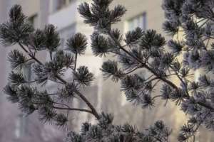 Бүгінгі Астананың ауа райы болжамы