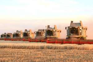 Елде дәнді дақылдарды жинау толық аяқталды — министр