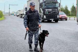 Астанада қызметтік ит автокөліктен есірткі тауып алды