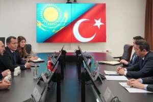 Түркиялық компания Қазақстанда желатин өндіретін зауыт салады