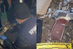 Жыл басынан бері 2300-ден астам қару тәркіленді - ІІМ