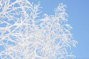 Қазақстанда қыс мезгілінде қайда демалуға болады