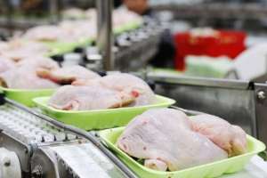 Жамбыл облысында жылына 70 мың тонна құс етін өңдейтін зауыт іске қосылды