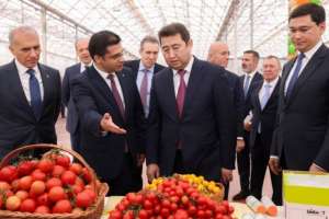 Шымкентте жылына 155 мың тонна қызанақ өндіретін жылыжай кешені іске қосылды