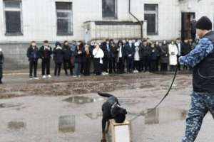 Астаналық студенттер кинологиялық қызметтің қыр-сырымен танысты