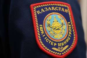 Қостанайда орманды заңсыз кесу схемасы әшкереленді – ІІМ