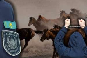 Ұлытау облысында ұрланған 100-ге жуық мал иелеріне қайтарылды