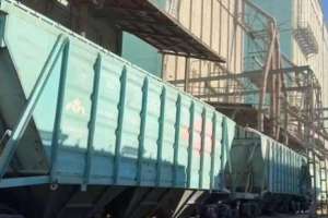 Елден 3,1 млн тонна астық экспортталды – АШМ