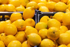 «40 жыл өнім береді»: сарыағаштық шаруа жылыжайдан жылына 200 тонна лимон жинап отыр