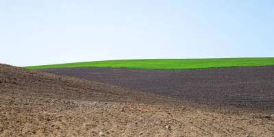Colman Domingo and Jude Law at amfAR’s Venice Gala