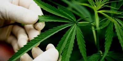 Colman Domingo and Jude Law at amfAR’s Venice Gala