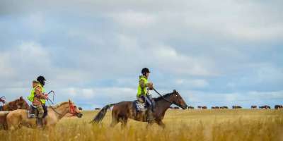 Colman Domingo and Jude Law at amfAR’s Venice Gala