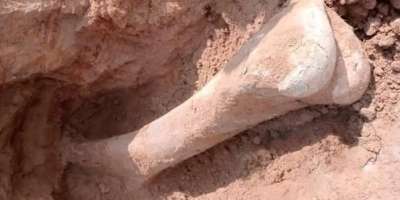 Colman Domingo and Jude Law at amfAR’s Venice Gala