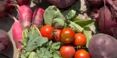 Colman Domingo and Jude Law at amfAR’s Venice Gala