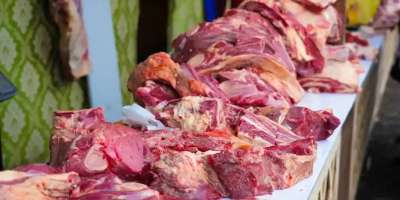 Colman Domingo and Jude Law at amfAR’s Venice Gala