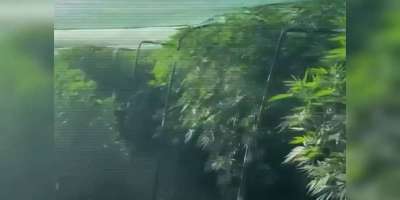 Colman Domingo and Jude Law at amfAR’s Venice Gala