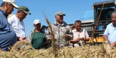 Colman Domingo and Jude Law at amfAR’s Venice Gala