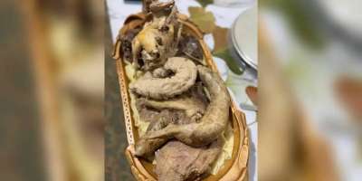 Colman Domingo and Jude Law at amfAR’s Venice Gala