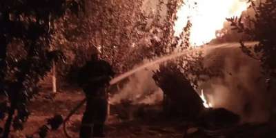 Colman Domingo and Jude Law at amfAR’s Venice Gala