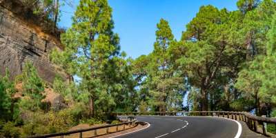 Colman Domingo and Jude Law at amfAR’s Venice Gala