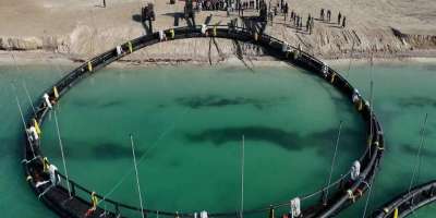 Colman Domingo and Jude Law at amfAR’s Venice Gala