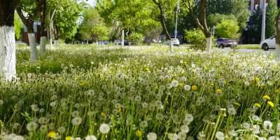 Colman Domingo and Jude Law at amfAR’s Venice Gala