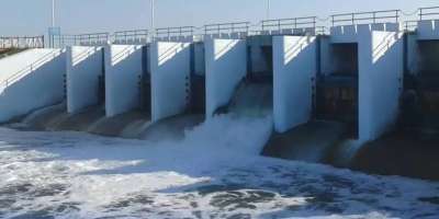 Colman Domingo and Jude Law at amfAR’s Venice Gala