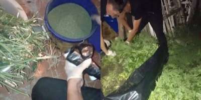 Colman Domingo and Jude Law at amfAR’s Venice Gala