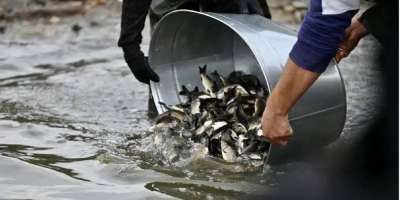 Colman Domingo and Jude Law at amfAR’s Venice Gala