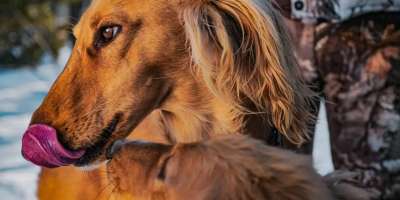 Colman Domingo and Jude Law at amfAR’s Venice Gala