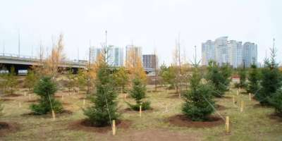 Colman Domingo and Jude Law at amfAR’s Venice Gala