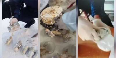 Colman Domingo and Jude Law at amfAR’s Venice Gala