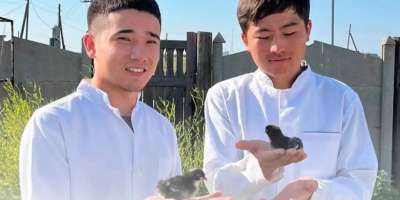 Colman Domingo and Jude Law at amfAR’s Venice Gala