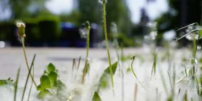 Colman Domingo and Jude Law at amfAR’s Venice Gala
