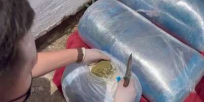 Colman Domingo and Jude Law at amfAR’s Venice Gala