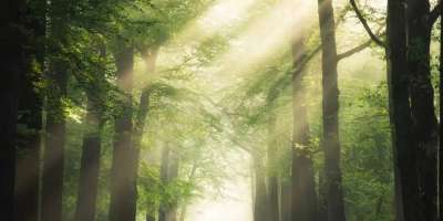 Colman Domingo and Jude Law at amfAR’s Venice Gala