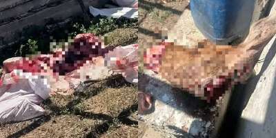 Colman Domingo and Jude Law at amfAR’s Venice Gala