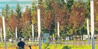 Colman Domingo and Jude Law at amfAR’s Venice Gala